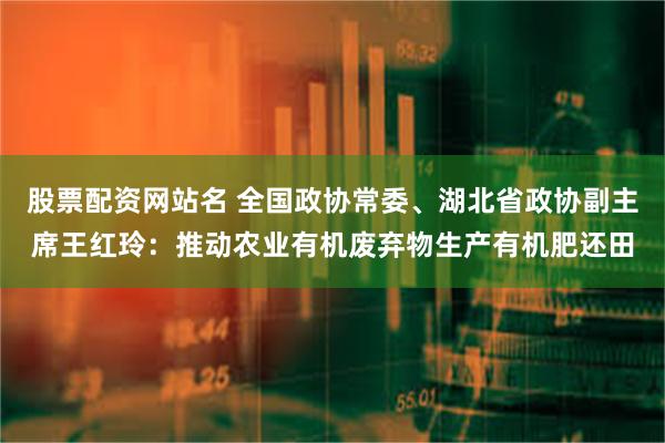 股票配资网站名 全国政协常委、湖北省政协副主席王红玲：推动农业有机废弃物生产有机肥还田