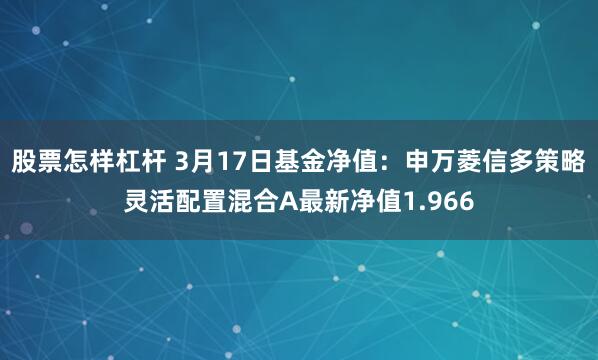股票怎样杠杆 3月17日基金净值：申万菱信多策略灵活配置混合A最新净值1.966