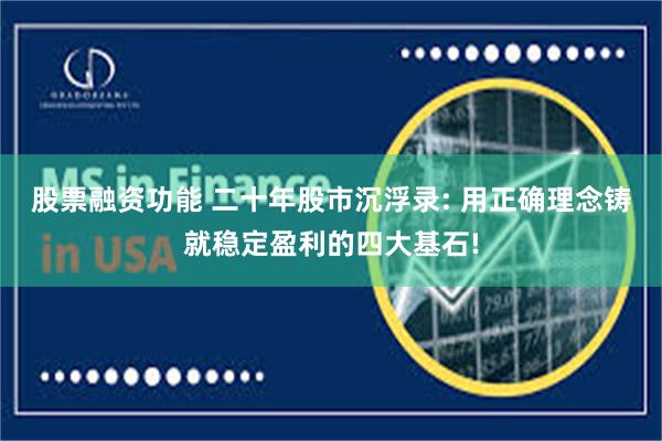 股票融资功能 二十年股市沉浮录: 用正确理念铸就稳定盈利的四大基石!