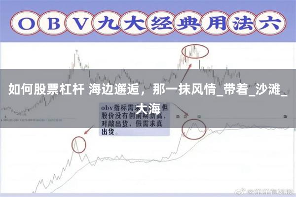 如何股票杠杆 海边邂逅，那一抹风情_带着_沙滩_大海