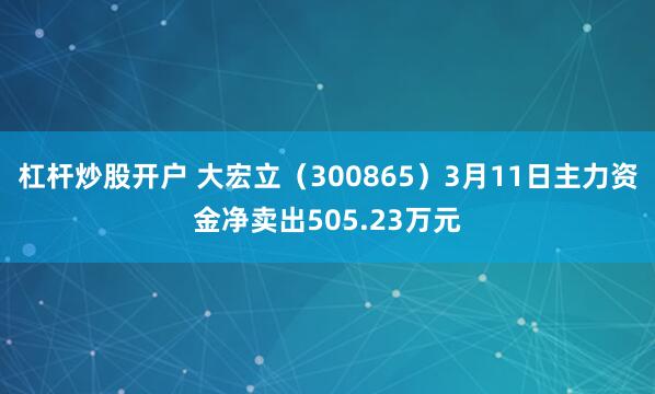 杠杆炒股开户 大宏立（300865）3月11日主力资金净卖出505.23万元