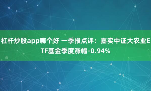 杠杆炒股app哪个好 一季报点评：嘉实中证大农业ETF基金季度涨幅-0.94%
