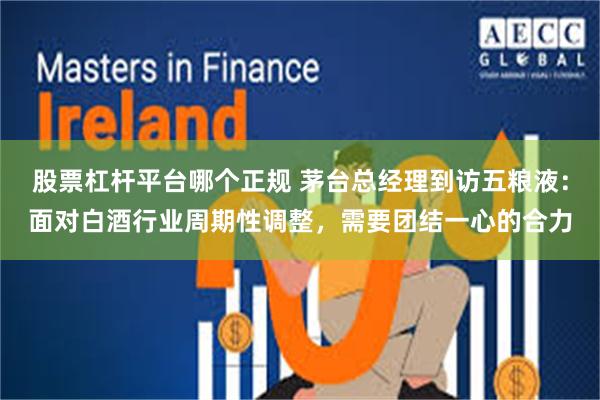 股票杠杆平台哪个正规 茅台总经理到访五粮液：面对白酒行业周期性调整，需要团结一心的合力