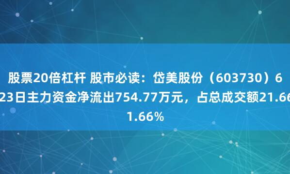股票20倍杠杆 股市必读：岱美股份（603730）6月23日主力资金净流出754.77万元，占总成交额21.66%