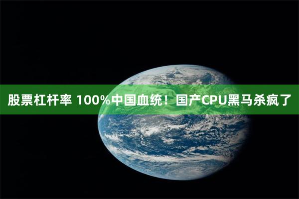 股票杠杆率 100%中国血统！国产CPU黑马杀疯了