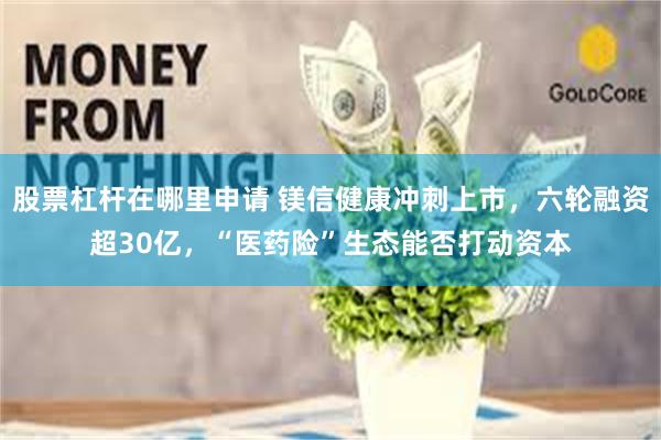 股票杠杆在哪里申请 镁信健康冲刺上市，六轮融资超30亿，“医药险”生态能否打动资本