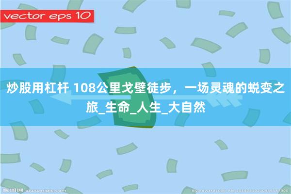炒股用杠杆 108公里戈壁徒步，一场灵魂的蜕变之旅_生命_人生_大自然