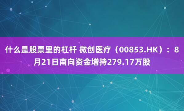 什么是股票里的杠杆 微创医疗（00853.HK）：8月21日南向资金增持279.17万股