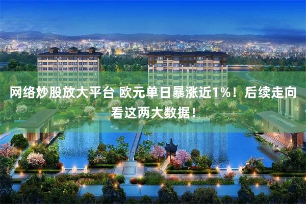网络炒股放大平台 欧元单日暴涨近1%！后续走向看这两大数据！
