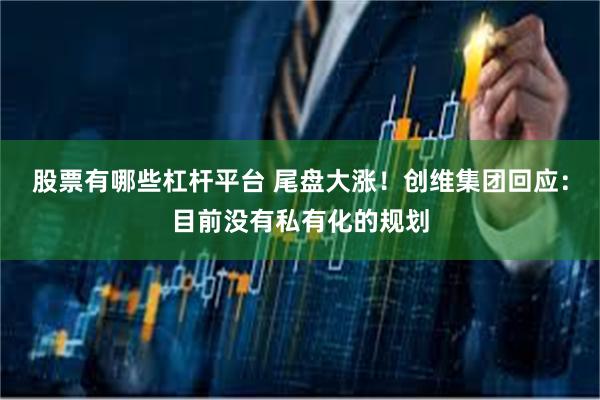 股票有哪些杠杆平台 尾盘大涨！创维集团回应：目前没有私有化的规划